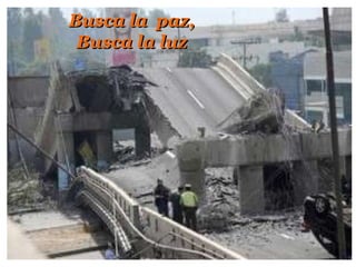 Busca la  paz, Busca la luz 