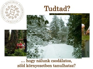 Tudtad?… hogy nálunk csodálatos, zöld környezetben tanulhatsz?