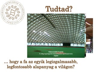 Művészetek Palotája, BudapestVásárközpont, bejárati csarnok, HannoverKakunodate kupolaA világ legnagyobb faszerkezetű sportcsarnokaJapánSörházdombi kilátó,SopronTudtad?… hogy a fa az egyik legizgalmasabb, legfontosabb alapanyag a világon? 