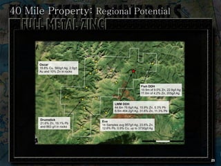 40 Mile Property: Regional Potential




                                       23
 