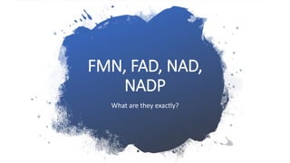 FMN, FAD, NAD,
NADP
What are they exactly?
 