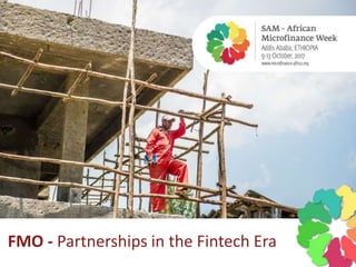 FMO - Partnerships in the Fintech Era
 