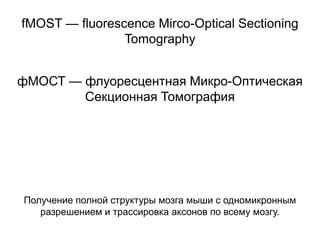 fMOST — fluorescence Mirco-Optical Sectioning
Tomography
фМОСТ — флуоресцентная Микро-Оптическая
Секционная Томография

Получение полной структуры мозга мыши с одномикронным
разрешением и трассировка аксонов по всему мозгу.

 