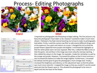 Process- Editing Photographs
Original Edited
I imported my photographs into Photoshop to begin editing. This first picture is my
favourite photograph I have taken so far, however I wanted to make it much more
vibrant. I followed a YouTube tutorial teaching me to how to make my photographs
look better. Firstly, I used the camera raw filter to edit several different things such
as the exposure, hue, grain and colours on curves. I changed the tint so that the
purple flowers appeared more purple and brighter. I minimized the highlights so
that the white petals were not over exposed. After this, I edited the RGB curves so
that the green, red and blue in the image was more colourful and eye catching. I
then edited the colours in the image. For example, I made the red darker as well as
the orange and purple. However, I increased the yellow so that it more luminous. I
also increased the balance to make the image brighter. Furthermore, I increased
the dehaze and the grain to give the photograph a more vintage look. Finally, I
increased the brightness and vibrancy on the adjustment layer so that the photo
was much more colourful. I cropped the image so that you couldn't’t see the wood
plant pot that the flowers were in. This allowed the photograph to be more in
depth and into the heart of the flower.
 