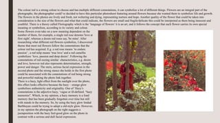 The colour red is a strong colour to choose and has multiple different connotations, it can symbolize a lot of different things. Flowers are an integral part of the
photographs, the photographer could’ve decided to have this particular photoshoot featuring around flowers because she wanted them to symbolize life and growth.
The flowers in the photos are lively and fresh, not weltering and dying, representing nurture and hope. Another quality of the flower that could be taken into
consideration is the size of the flowers and what that could indicate, the flowers are small and fragile/delicate this could be interpreted as them being innocent and
youthful. There is a theory called Floriography which is the ‘language of flowers’ it is an art, and it follows the concept that each flower carries its own special
meaning or symbolism, according to its variety and colour.
Some flowers even take on a new meaning dependent on the
number of them, for example, a single red rose denotes 'love at
first sight', whereas a dozen red roses say, 'be mine'. After
researching what different red flowers symbolize, I discovered
theme that most red flowers follow the connotations that the
colour red has acquired. E.g. a red rose means ‘to endure
passion’ , a red tulip means ‘true love’ and a red camellia
symbolizes ‘love, passion and deep desire’. Following the
connotations of red oozing similar characteristics, e.g. desire
and love, however red also represents determination, strength,
power and danger. The stern, serious facial expression in the
second photo and the strong stance she holds in the first photo
could be associated with the connotations of red being strong
and powerful making the photo link together.
There is a hazy, light effect from the sunlight over the photo,
this effect looks effective because the hazy – orange glow
symbolises authenticity and originality. One of ‘Hazy’s
connotations is the adjective hazy, ‘vague or ill-defined. “hazy
memories". Which, in my opinion, a hazy memory is a fond
memory that has been gradually forgotten over time but still
with stands in the memory. So, by using the hazy glow Imdad
Barbhuyan could be trying to adopt a old-style glow. However,
in my opinion the photograph on the right suggests a
juxtaposition with the hazy feel-good glow on the photo in
contrast with a serious and dull facial expression.
 