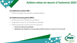 6
Actions mises en œuvre à l’automne 2024
Sur betteraves sucrières (BS) :
• Récolte anticipée des parcelles symptomatiques
Sur betteraves porte-graines (BPG) :
• Renforcement de l’épidémiosurveillance
• Diagnostics viraux sur l’ensemble des parcelles
• Renforcement de la lutte contre les pucerons
– Seuils de traitements aphicides
– Application de répulsifs sur les parcelles de BPG sucrières à moins d’1 km d’une BS
 