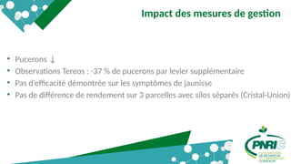 7
Impact des mesures de gestion
• Pucerons ↓
• Observations Tereos : -37 % de pucerons par levier supplémentaire
• Pas d’efficacité démontrée sur les symptômes de jaunisse
• Pas de différence de rendement sur 3 parcelles avec silos séparés (Cristal-Union)
 