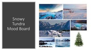 Snowy
Tundra
Mood Board
 