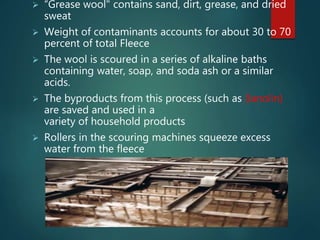  “Grease wool" contains sand, dirt, grease, and dried
sweat
 Weight of contaminants accounts for about 30 to 70
percent of total Fleece
 The wool is scoured in a series of alkaline baths
containing water, soap, and soda ash or a similar
acids.
 The byproducts from this process (such as (lanolin)
are saved and used in a
variety of household products
 Rollers in the scouring machines squeeze excess
water from the fleece
 