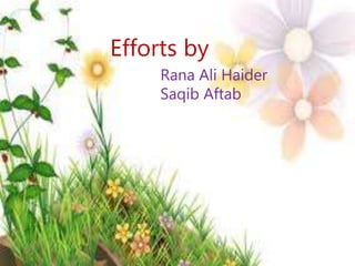 Efforts by
Rana Ali Haider
Saqib Aftab
 
