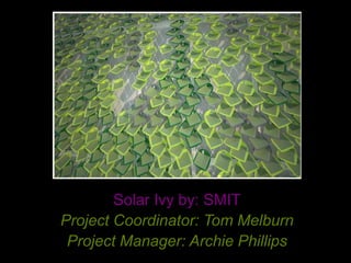 Solar Ivy by: SMIT
Project Coordinator: Tom Melburn
 Project Manager: Archie Phillips
 