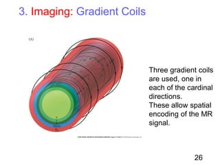 3. Imaging: Gradient Coils
Three gradient coils
are used, one in
each of the cardinal
directions.
These allow spatial
encoding of the MR
signal.
26
 