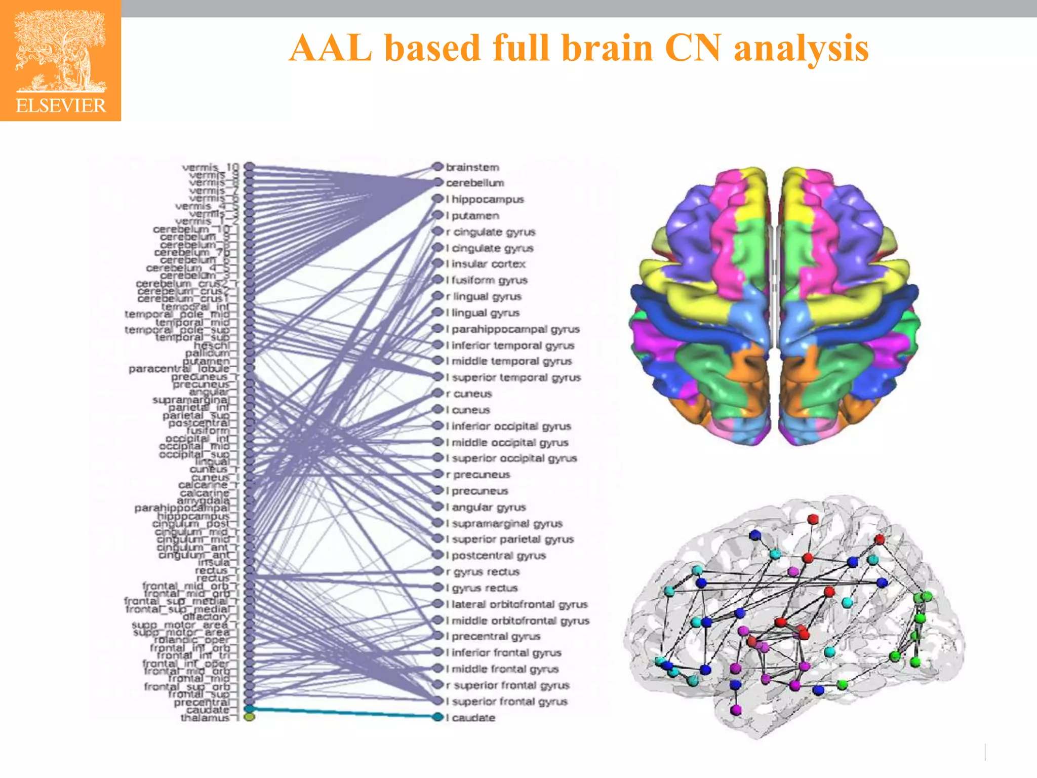 AAL based full brain CN analysis
 