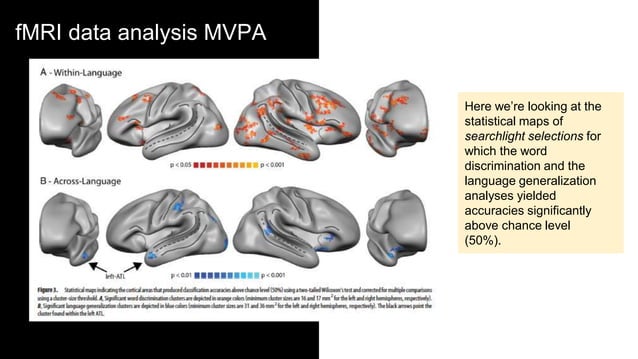 Fmri of bilingual brain atl reveals language independent ...