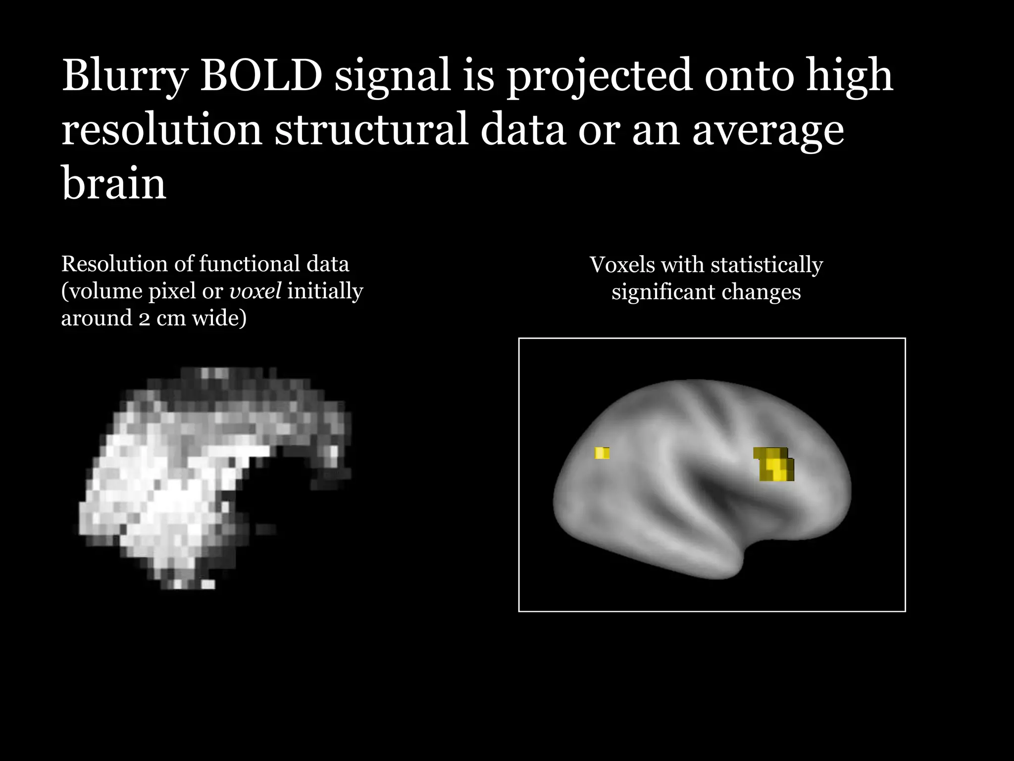 Blurry BOLD signal is projected onto high
resolution structural data or an average
brain
Resolution of functional data      Voxels with statistically
(volume pixel or voxel initially     significant changes
around 2 cm wide)
 