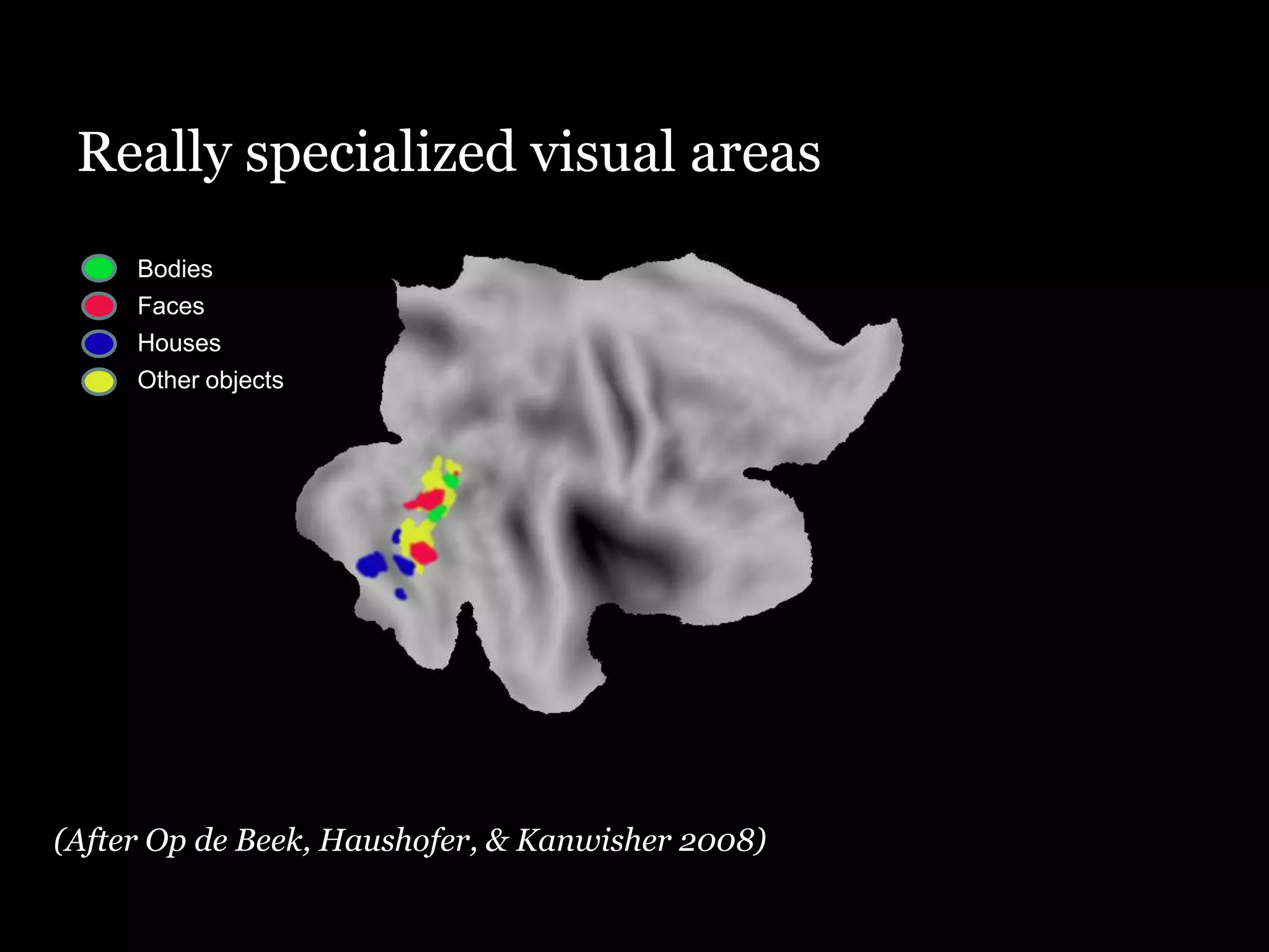 Really specialized visual areas
     Bodies
     Faces
     Houses
     Other objects




(After Op de Beek, Haushofer, & Kanwisher 2008)
 