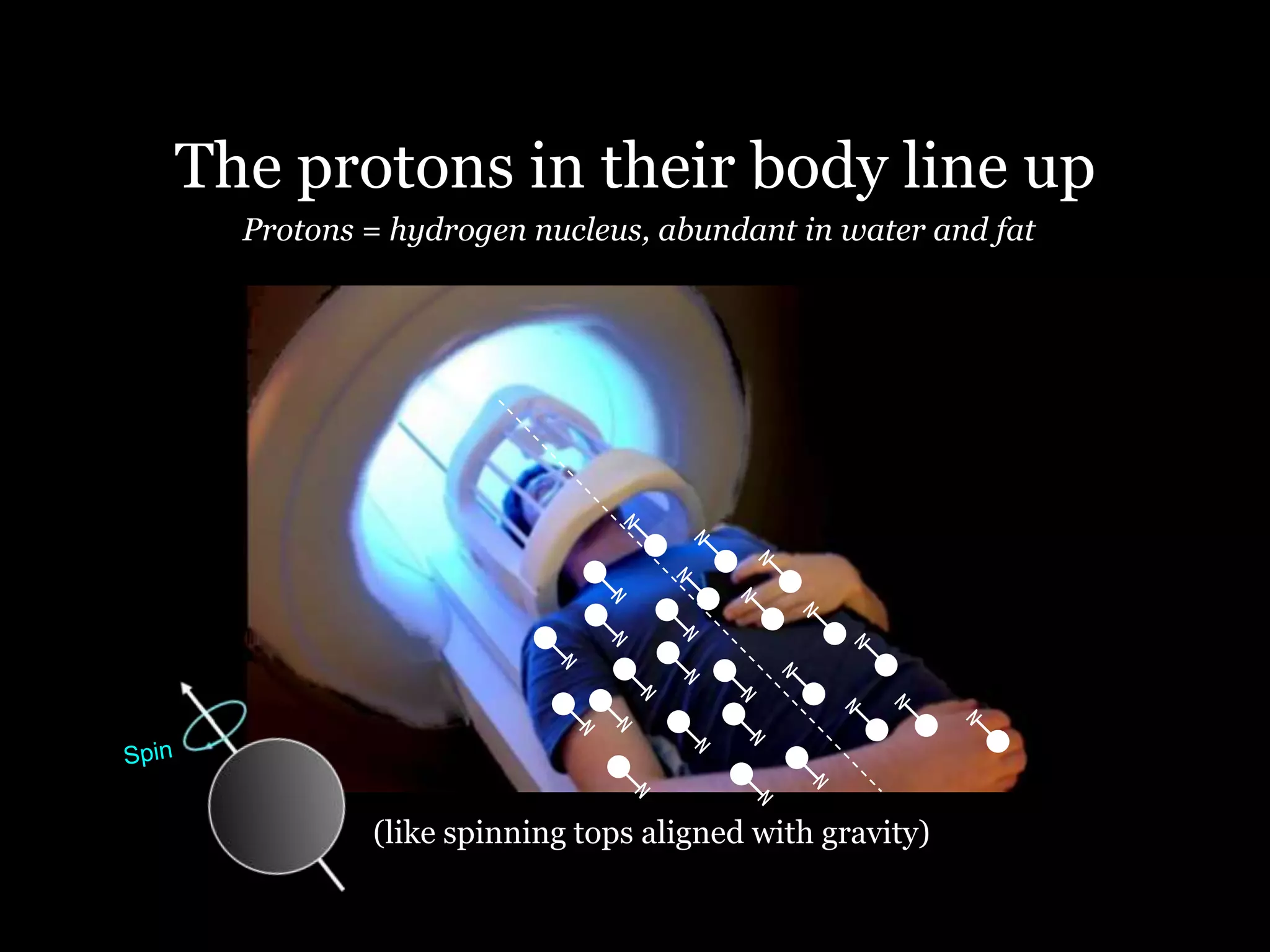 The protons in their body line up
  Protons = hydrogen nucleus, abundant in water and fat




          (like spinning tops aligned with gravity)
 