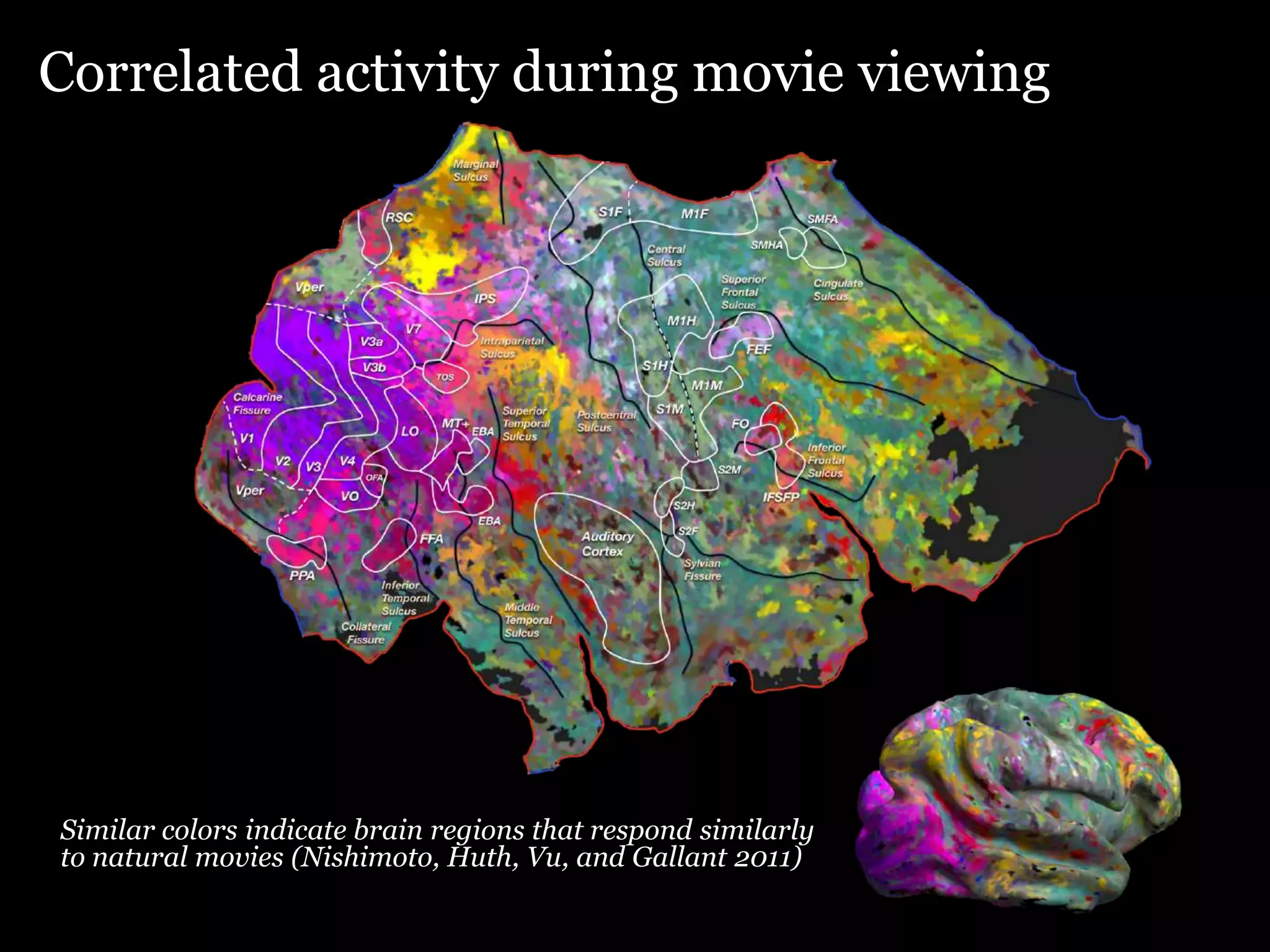 Correlated activity during movie viewing




Similar colors indicate brain regions that respond similarly
to natural movies (Nishimoto, Huth, Vu, and Gallant 2011)
 