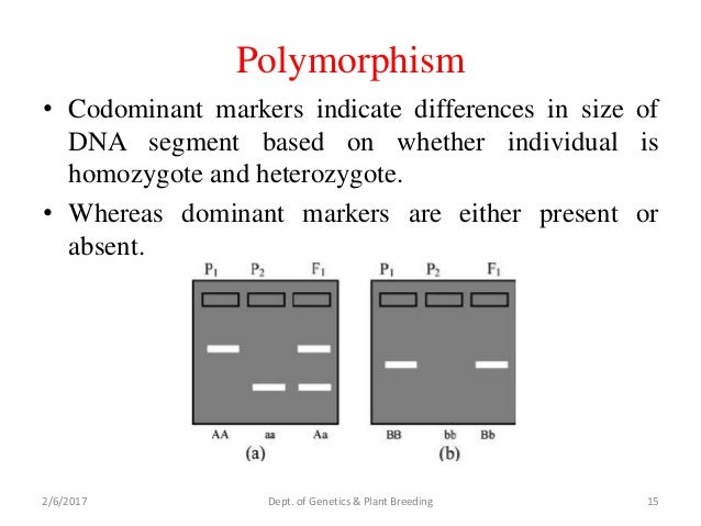 what are dominant and codominant markers