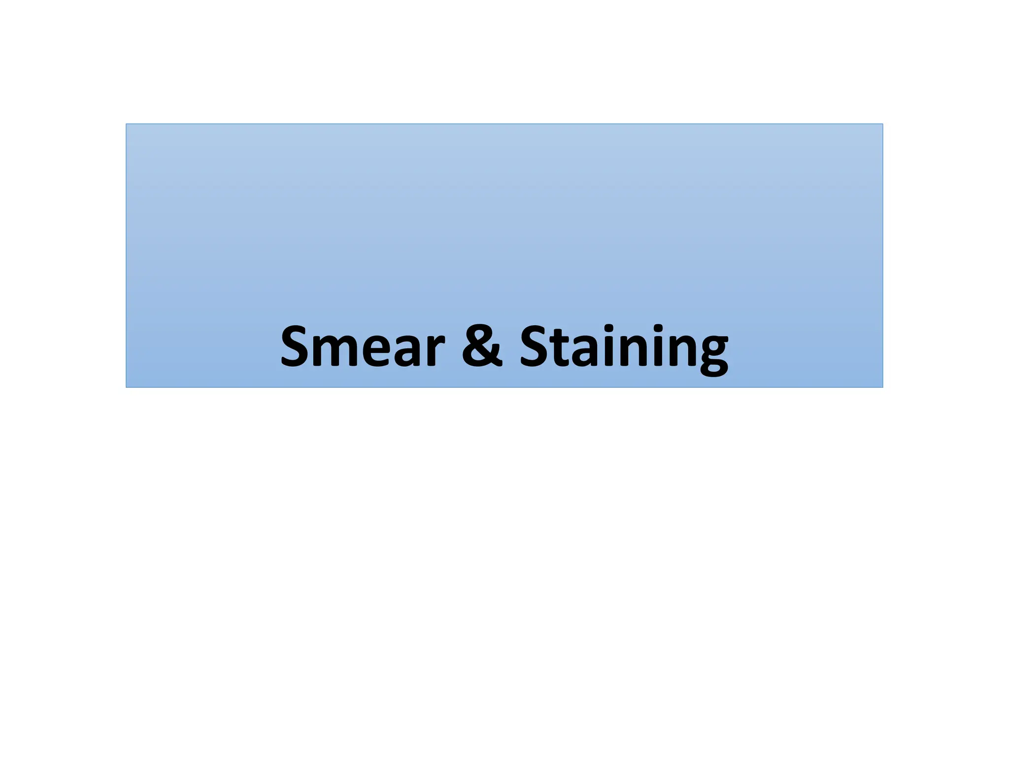 Smear & Staining
 