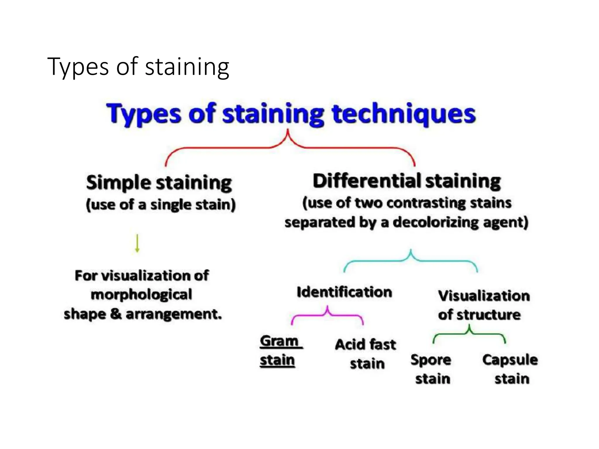 Types of staining
 