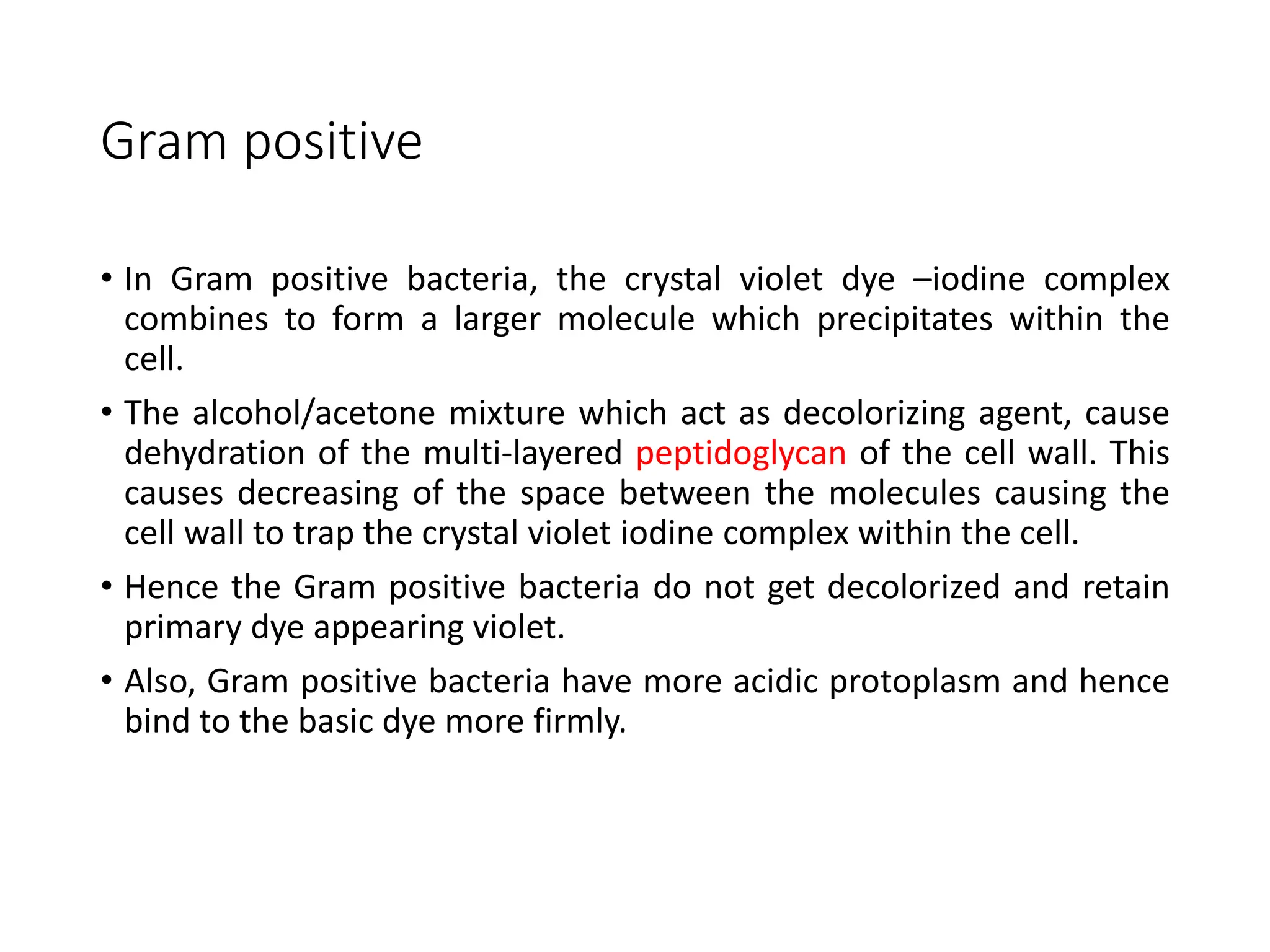 Gram positive
• In Gram positive bacteria, the crystal violet dye –iodine complex
combines to form a larger molecule which precipitates within the
cell.
• The alcohol/acetone mixture which act as decolorizing agent, cause
dehydration of the multi-layered peptidoglycan of the cell wall. This
causes decreasing of the space between the molecules causing the
cell wall to trap the crystal violet iodine complex within the cell.
• Hence the Gram positive bacteria do not get decolorized and retain
primary dye appearing violet.
• Also, Gram positive bacteria have more acidic protoplasm and hence
bind to the basic dye more firmly.
 