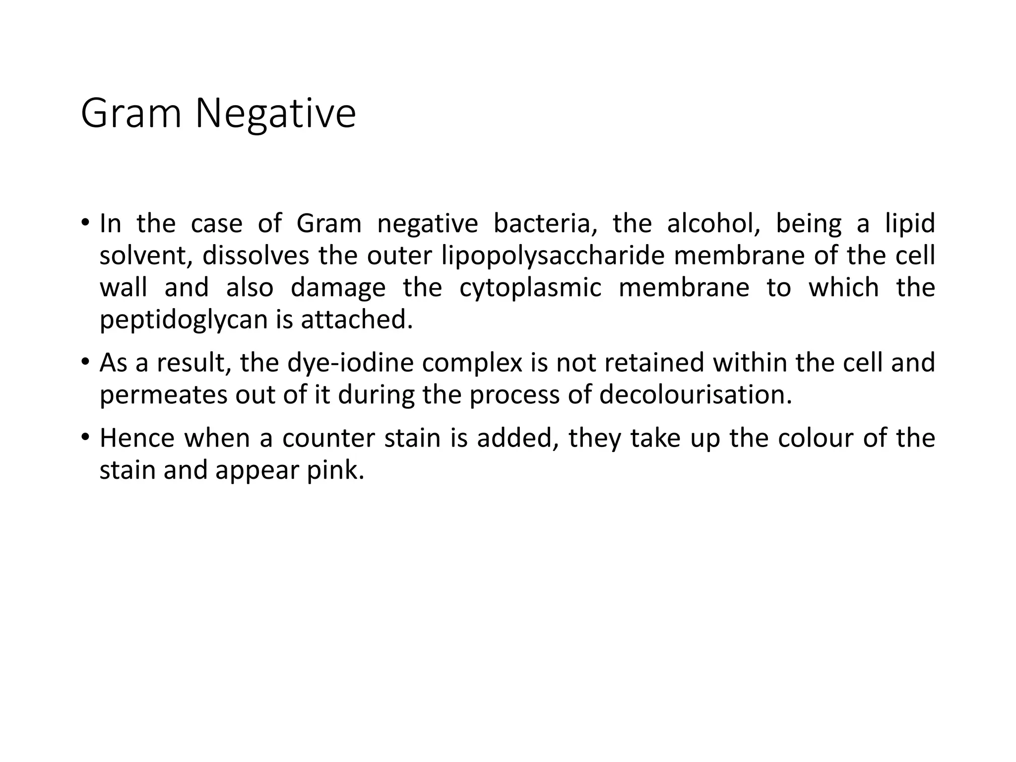 Gram Negative
• In the case of Gram negative bacteria, the alcohol, being a lipid
solvent, dissolves the outer lipopolysaccharide membrane of the cell
wall and also damage the cytoplasmic membrane to which the
peptidoglycan is attached.
• As a result, the dye-iodine complex is not retained within the cell and
permeates out of it during the process of decolourisation.
• Hence when a counter stain is added, they take up the colour of the
stain and appear pink.
 