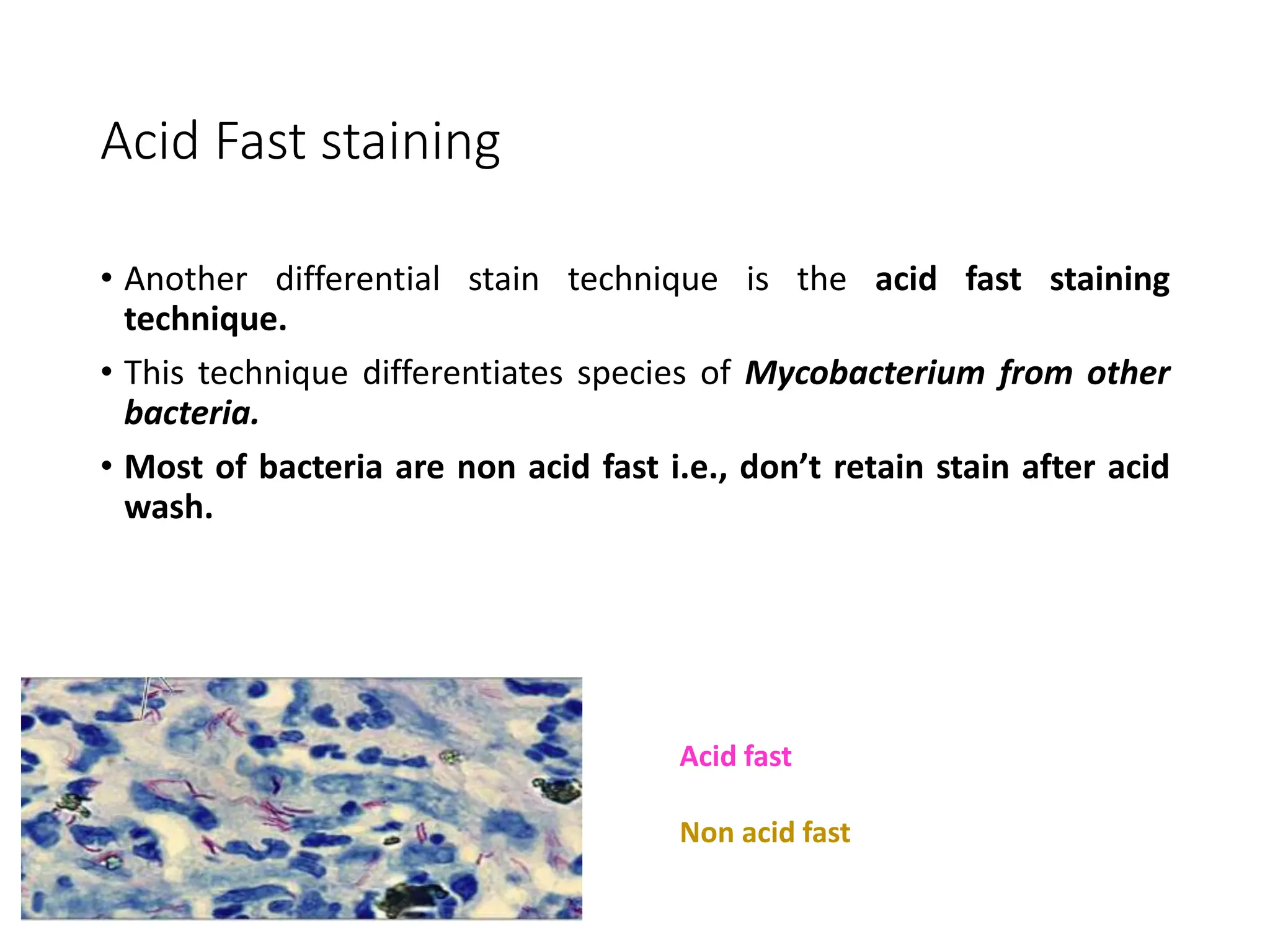 Acid Fast staining
• Another differential stain technique is the acid fast staining
technique.
• This technique differentiates species of Mycobacterium from other
bacteria.
• Most of bacteria are non acid fast i.e., don’t retain stain after acid
wash.
Acid fast
Non acid fast
 
