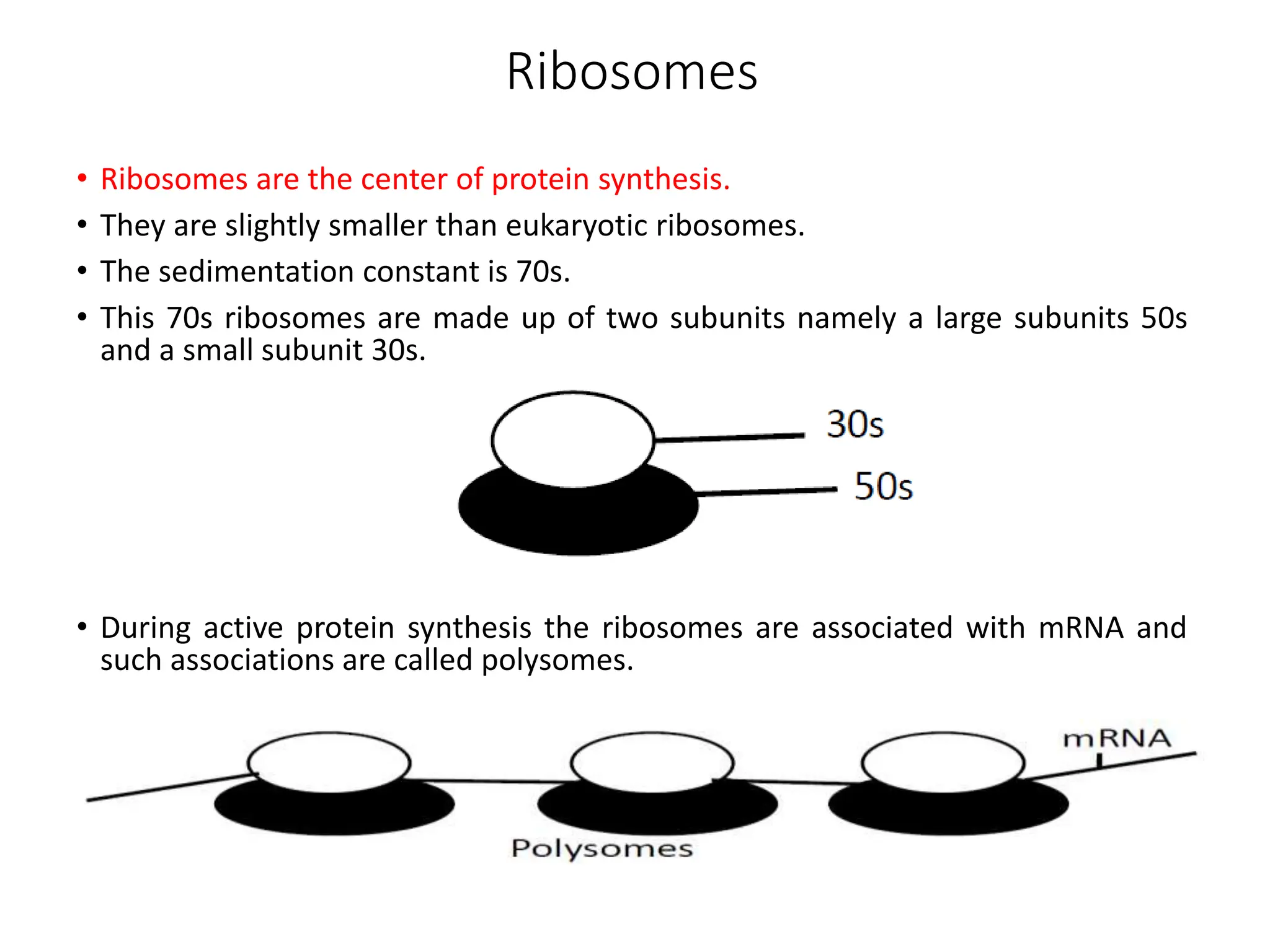 Ribosomes
• Ribosomes are the center of protein synthesis.
• They are slightly smaller than eukaryotic ribosomes.
• The sedimentation constant is 70s.
• This 70s ribosomes are made up of two subunits namely a large subunits 50s
and a small subunit 30s.
• During active protein synthesis the ribosomes are associated with mRNA and
such associations are called polysomes.
 