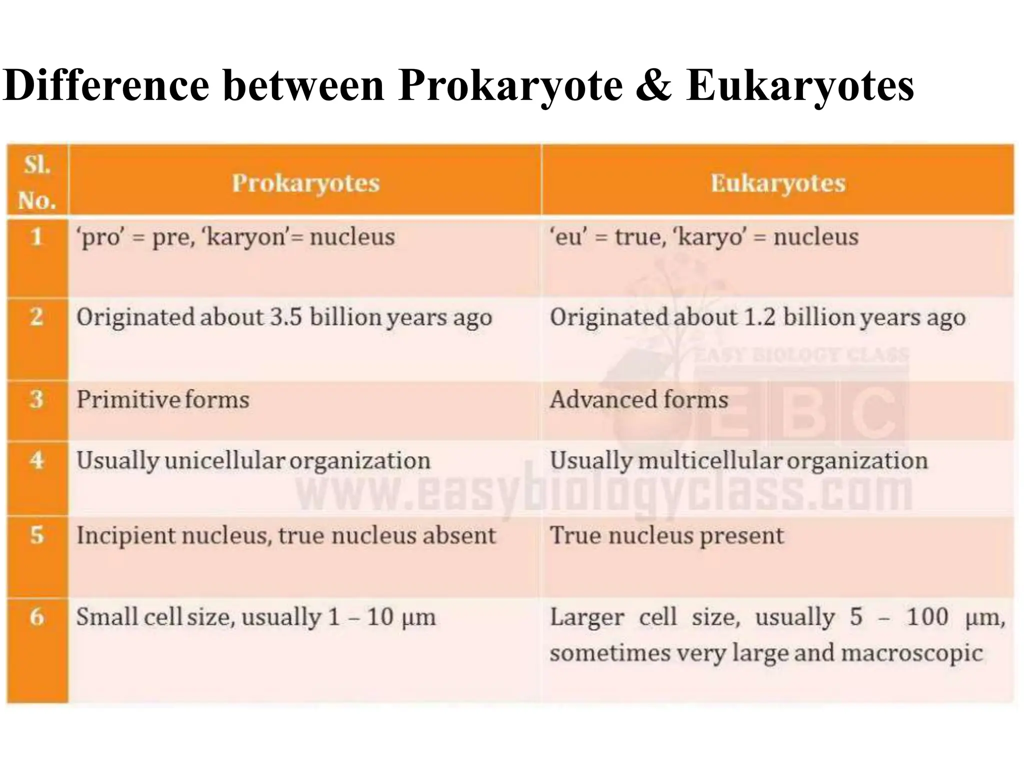 Difference between Prokaryote & Eukaryotes
 