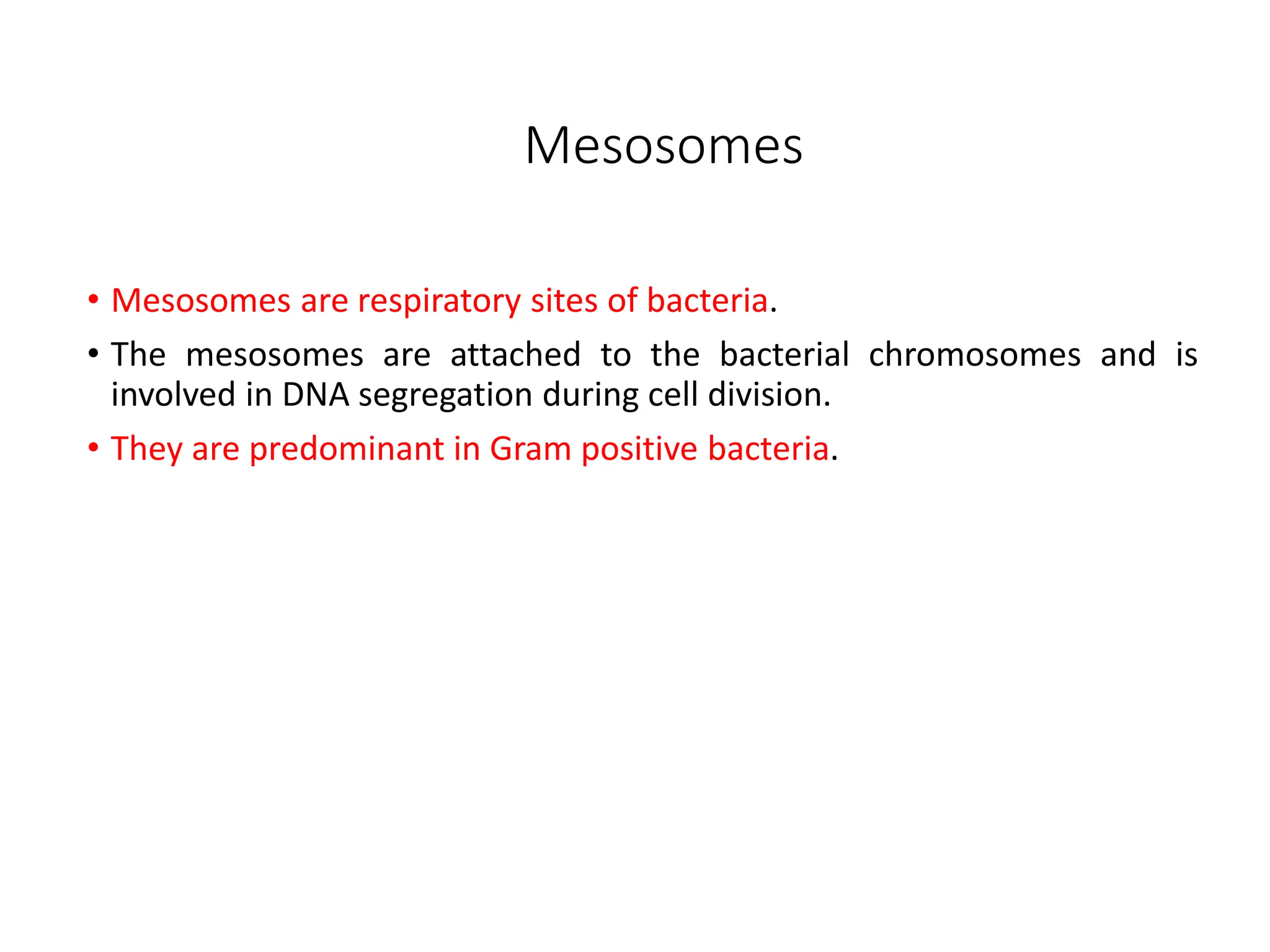 Mesosomes
• Mesosomes are respiratory sites of bacteria.
• The mesosomes are attached to the bacterial chromosomes and is
involved in DNA segregation during cell division.
• They are predominant in Gram positive bacteria.
 