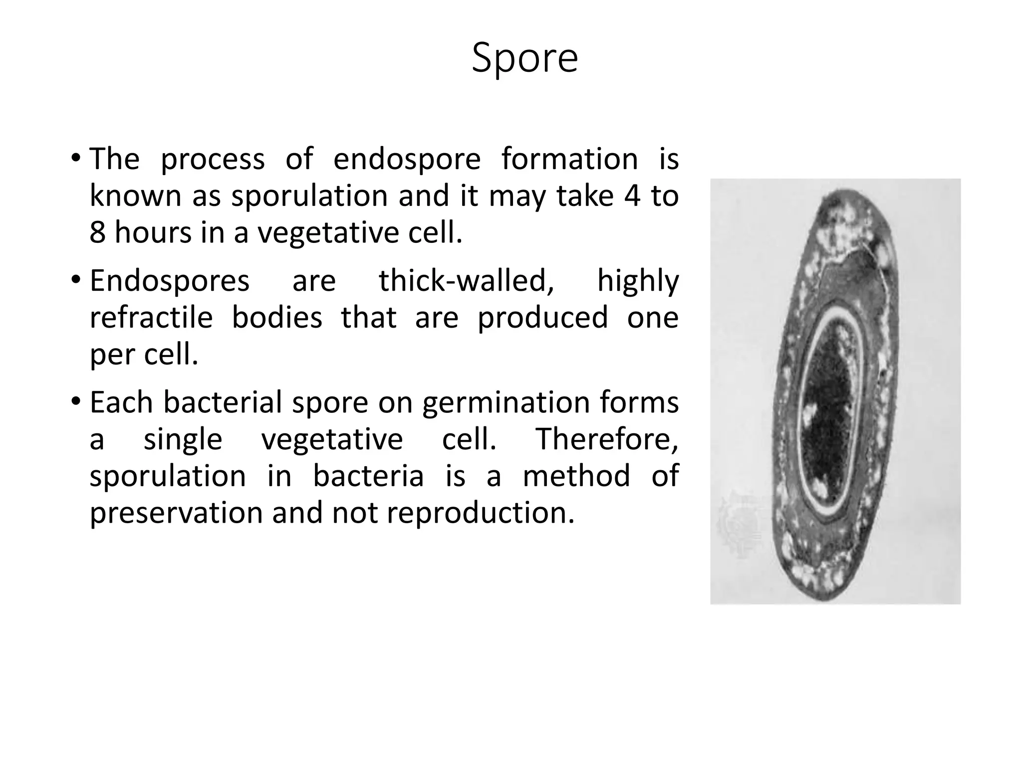 Spore
• The process of endospore formation is
known as sporulation and it may take 4 to
8 hours in a vegetative cell.
• Endospores are thick-walled, highly
refractile bodies that are produced one
per cell.
• Each bacterial spore on germination forms
a single vegetative cell. Therefore,
sporulation in bacteria is a method of
preservation and not reproduction.
 