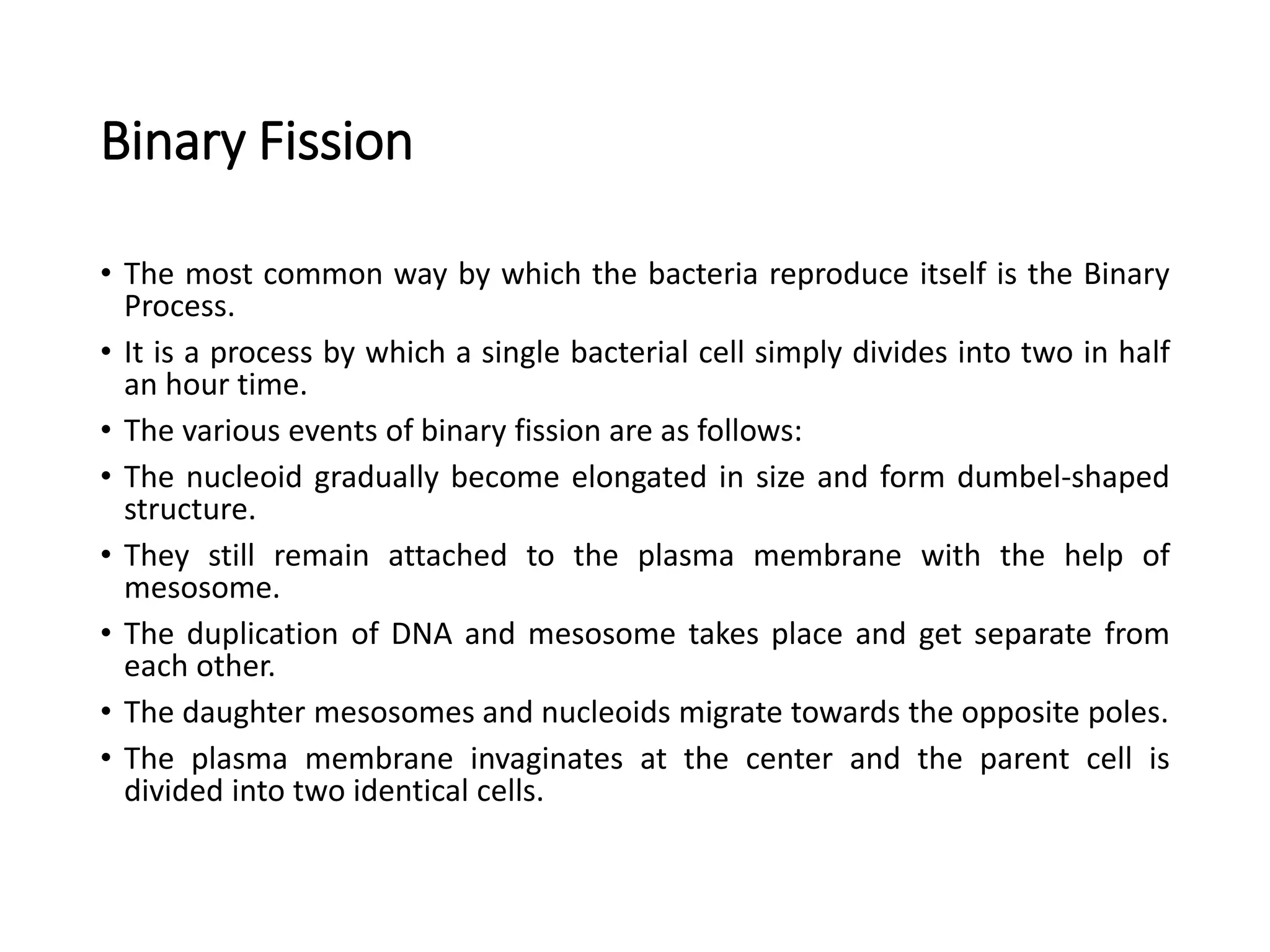 Binary Fission
• The most common way by which the bacteria reproduce itself is the Binary
Process.
• It is a process by which a single bacterial cell simply divides into two in half
an hour time.
• The various events of binary fission are as follows:
• The nucleoid gradually become elongated in size and form dumbel-shaped
structure.
• They still remain attached to the plasma membrane with the help of
mesosome.
• The duplication of DNA and mesosome takes place and get separate from
each other.
• The daughter mesosomes and nucleoids migrate towards the opposite poles.
• The plasma membrane invaginates at the center and the parent cell is
divided into two identical cells.
 