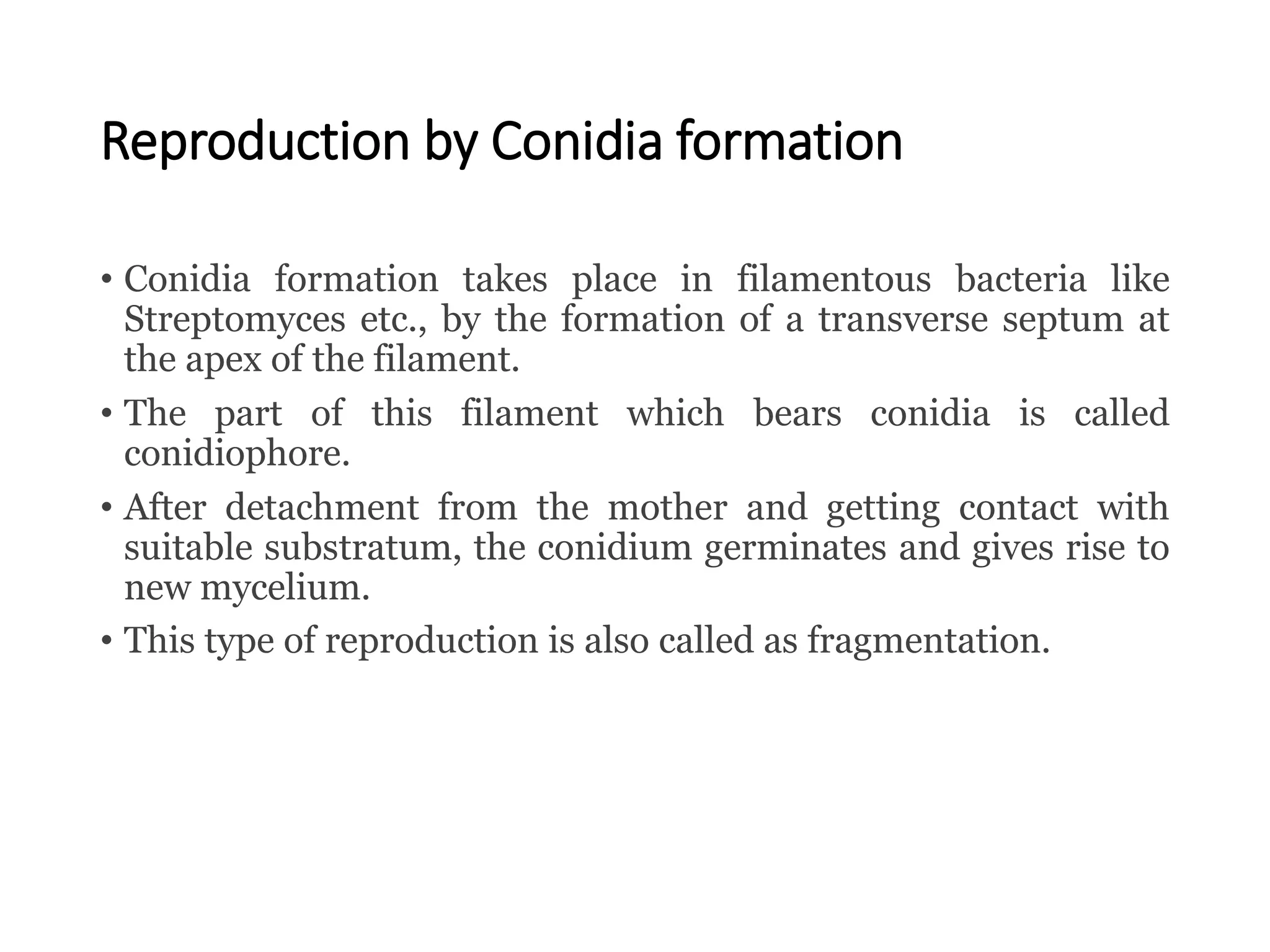 Reproduction by Conidia formation
• Conidia formation takes place in filamentous bacteria like
Streptomyces etc., by the formation of a transverse septum at
the apex of the filament.
• The part of this filament which bears conidia is called
conidiophore.
• After detachment from the mother and getting contact with
suitable substratum, the conidium germinates and gives rise to
new mycelium.
• This type of reproduction is also called as fragmentation.
 
