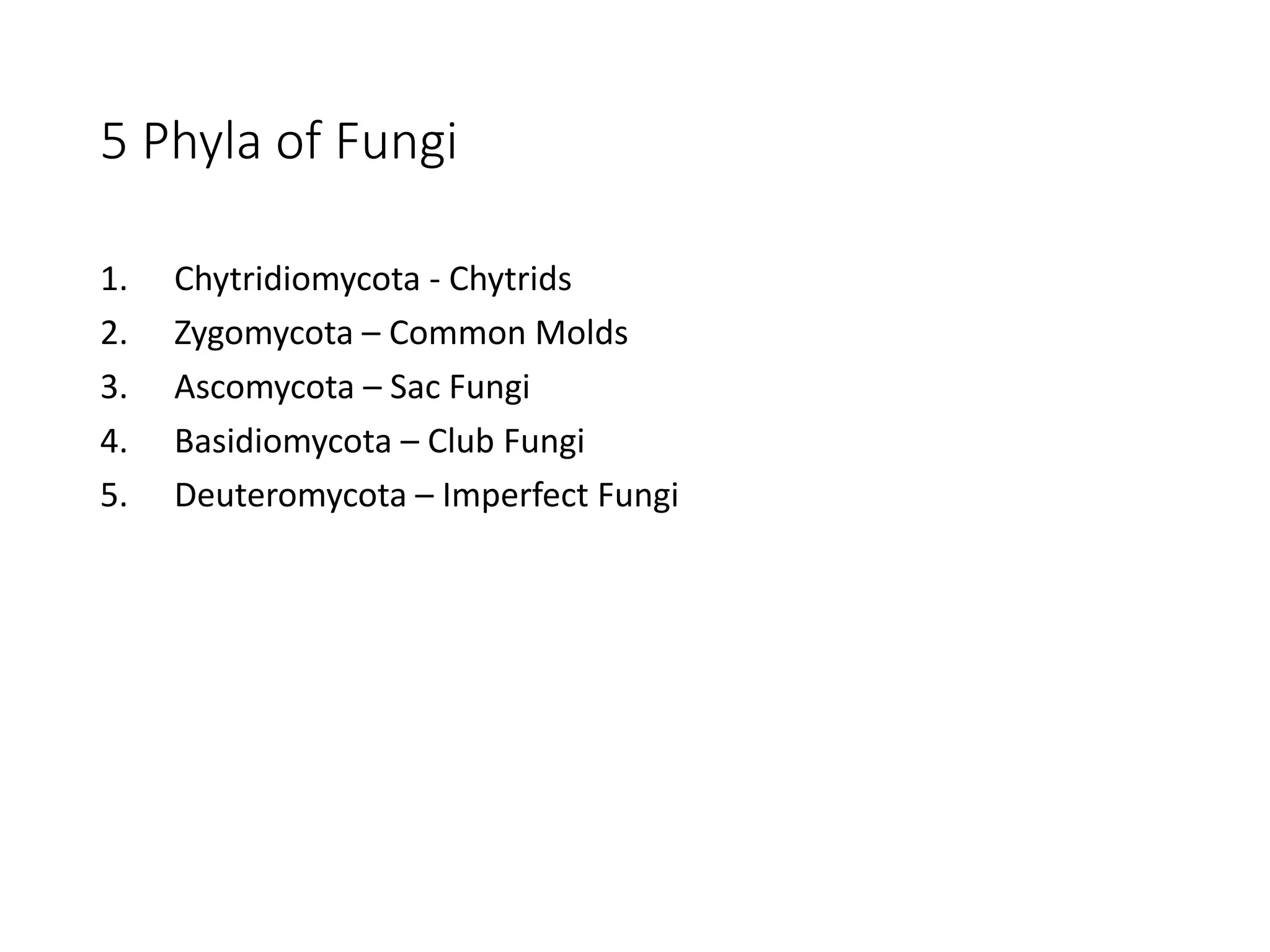 5 Phyla of Fungi
1. Chytridiomycota - Chytrids
2. Zygomycota – Common Molds
3. Ascomycota – Sac Fungi
4. Basidiomycota – Club Fungi
5. Deuteromycota – Imperfect Fungi
 
