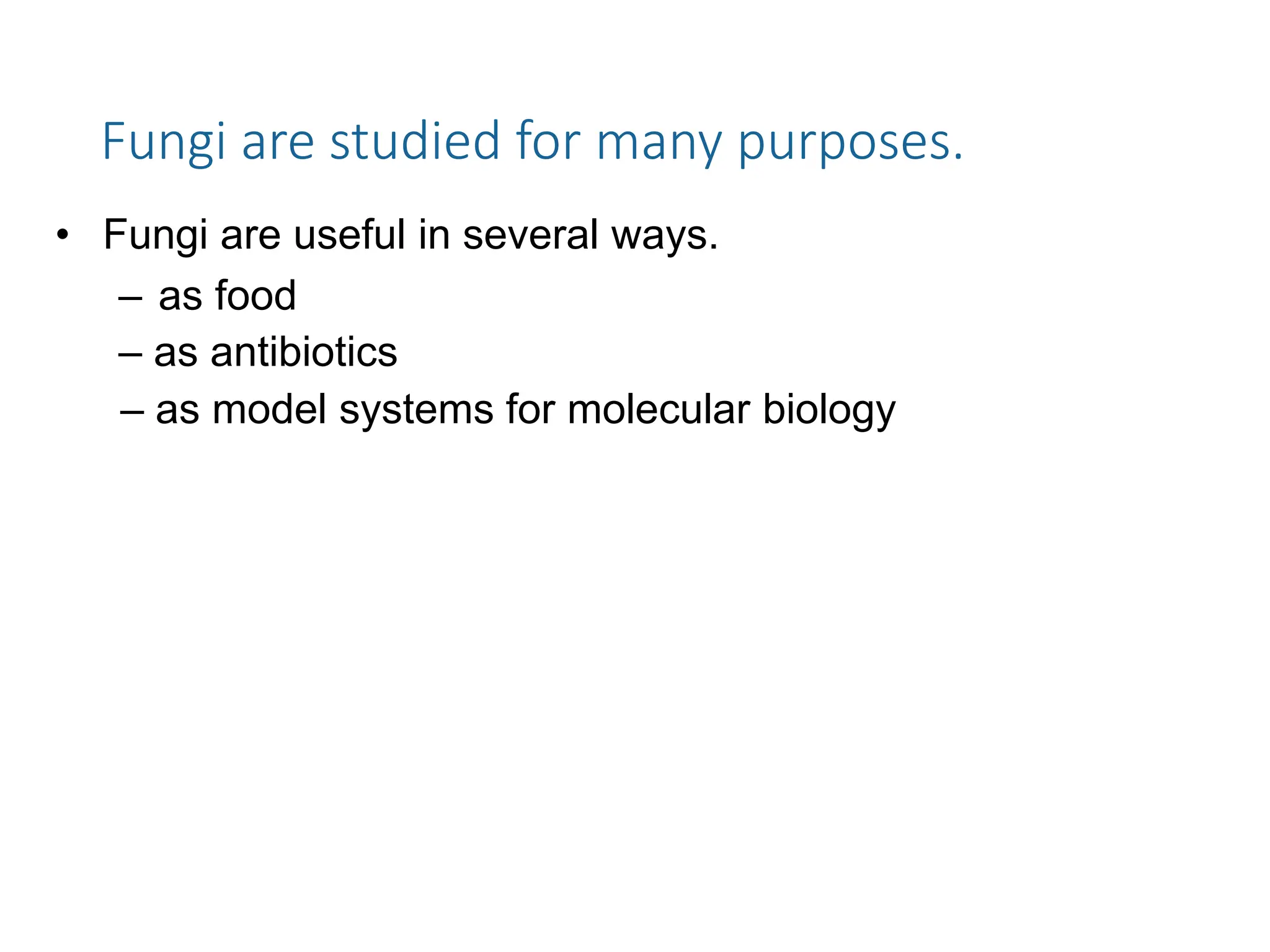Fungi are studied for many purposes.
• Fungi are useful in several ways.
– as food
– as antibiotics
– as model systems for molecular biology
 