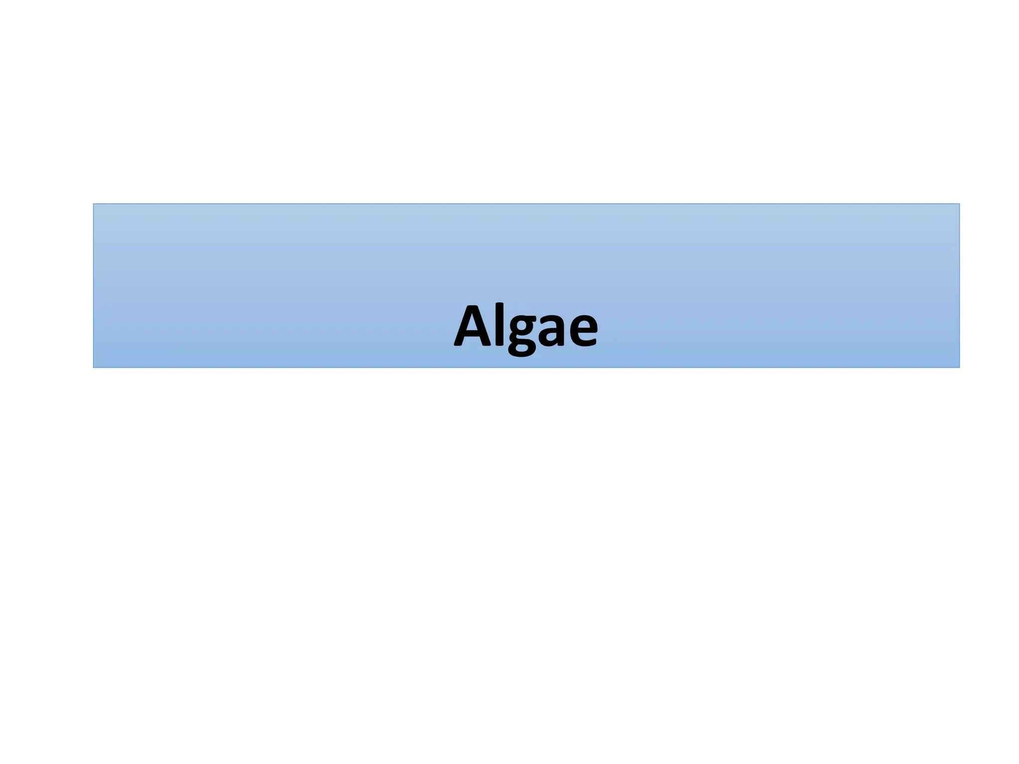 Algae
 