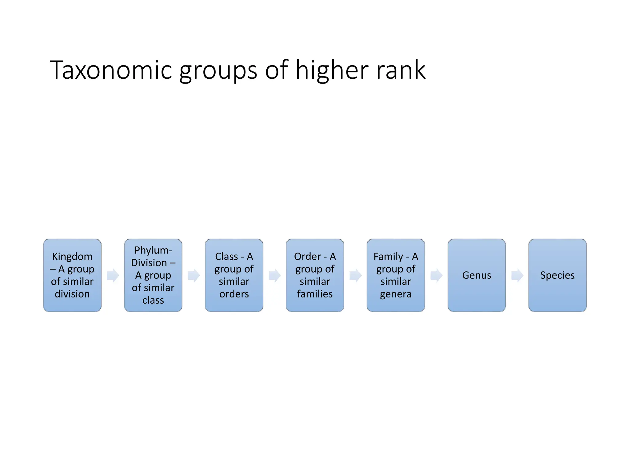 Taxonomic groups of higher rank
Kingdom
– A group
of similar
division
Phylum-
Division –
A group
of similar
class
Class - A
group of
similar
orders
Order - A
group of
similar
families
Family - A
group of
similar
genera
Genus Species
 