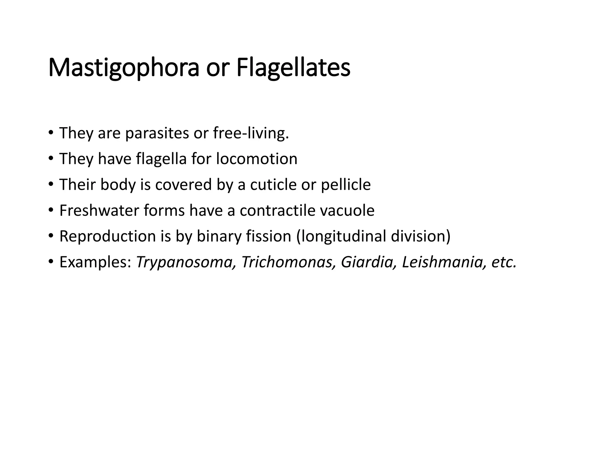 Mastigophora or Flagellates
• They are parasites or free-living.
• They have flagella for locomotion
• Their body is covered by a cuticle or pellicle
• Freshwater forms have a contractile vacuole
• Reproduction is by binary fission (longitudinal division)
• Examples: Trypanosoma, Trichomonas, Giardia, Leishmania, etc.
 