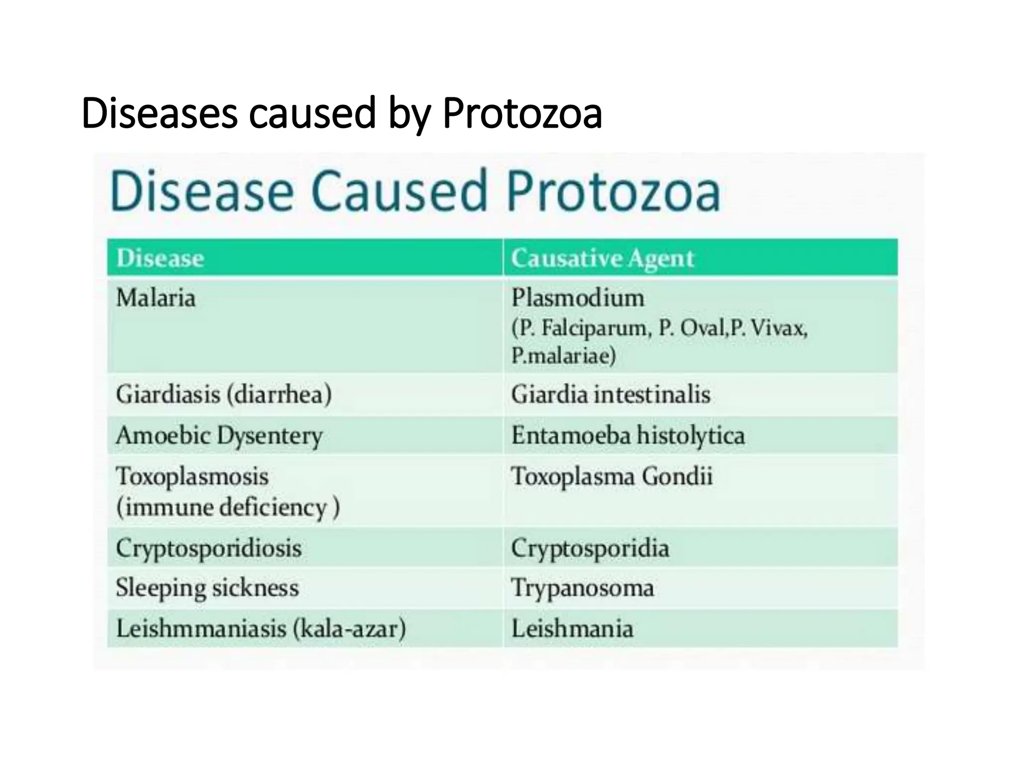 Diseases caused by Protozoa
 