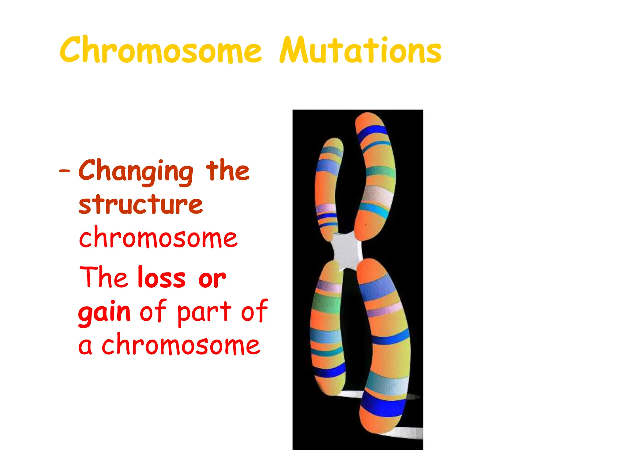 Chromosome Mutations
• May Involve:
– Changing the
structure of a
chromosome
– The loss or
gain of part of
a chromosome
 