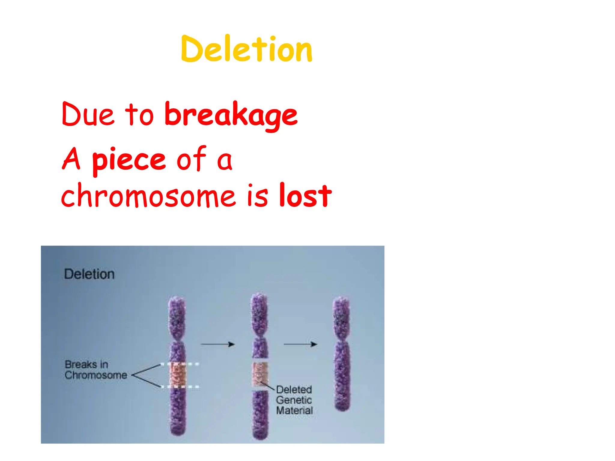 Deletion
• Due to breakage
• A piece of a
chromosome is lost
 
