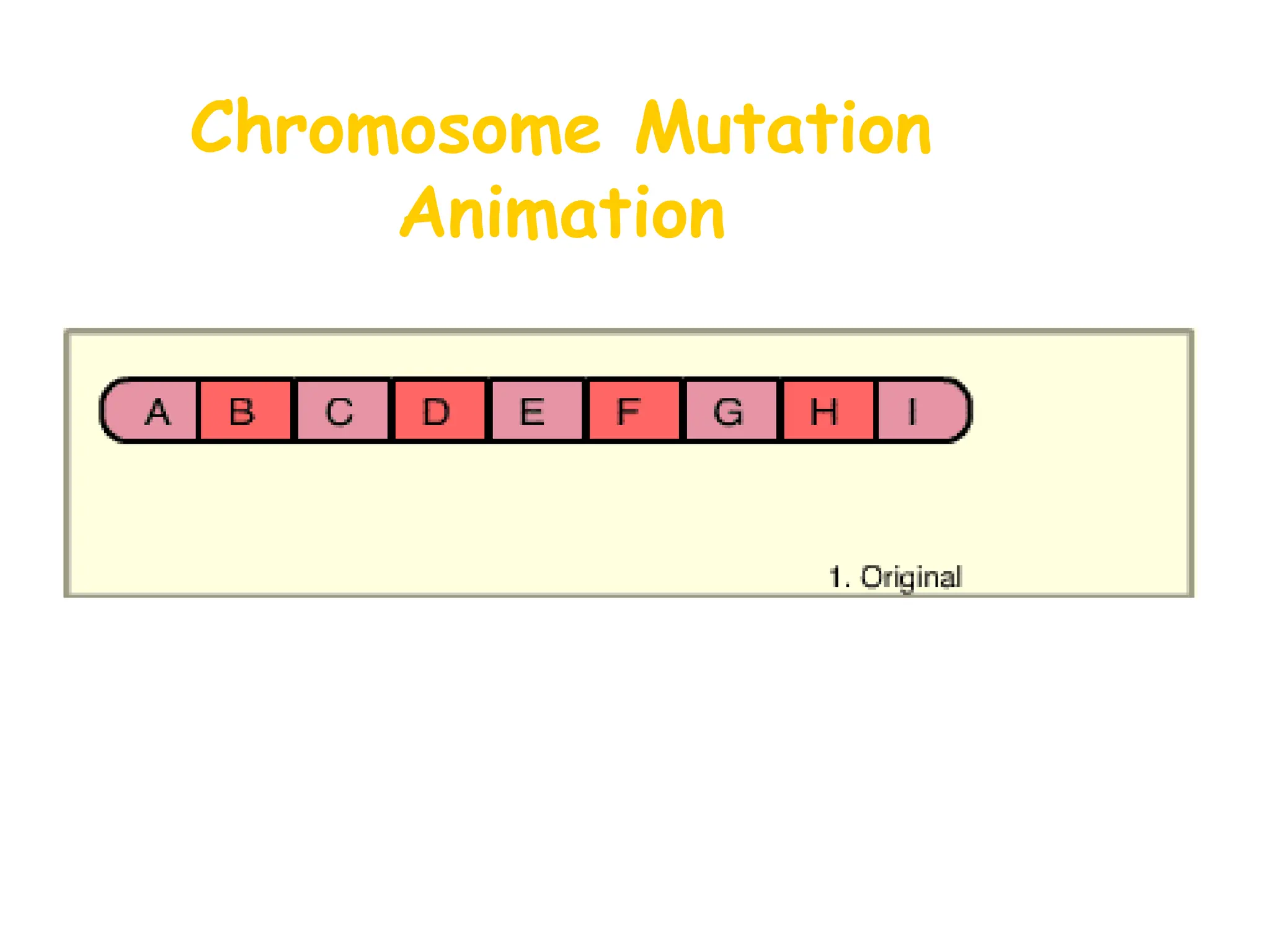 Chromosome Mutation
Animation
 