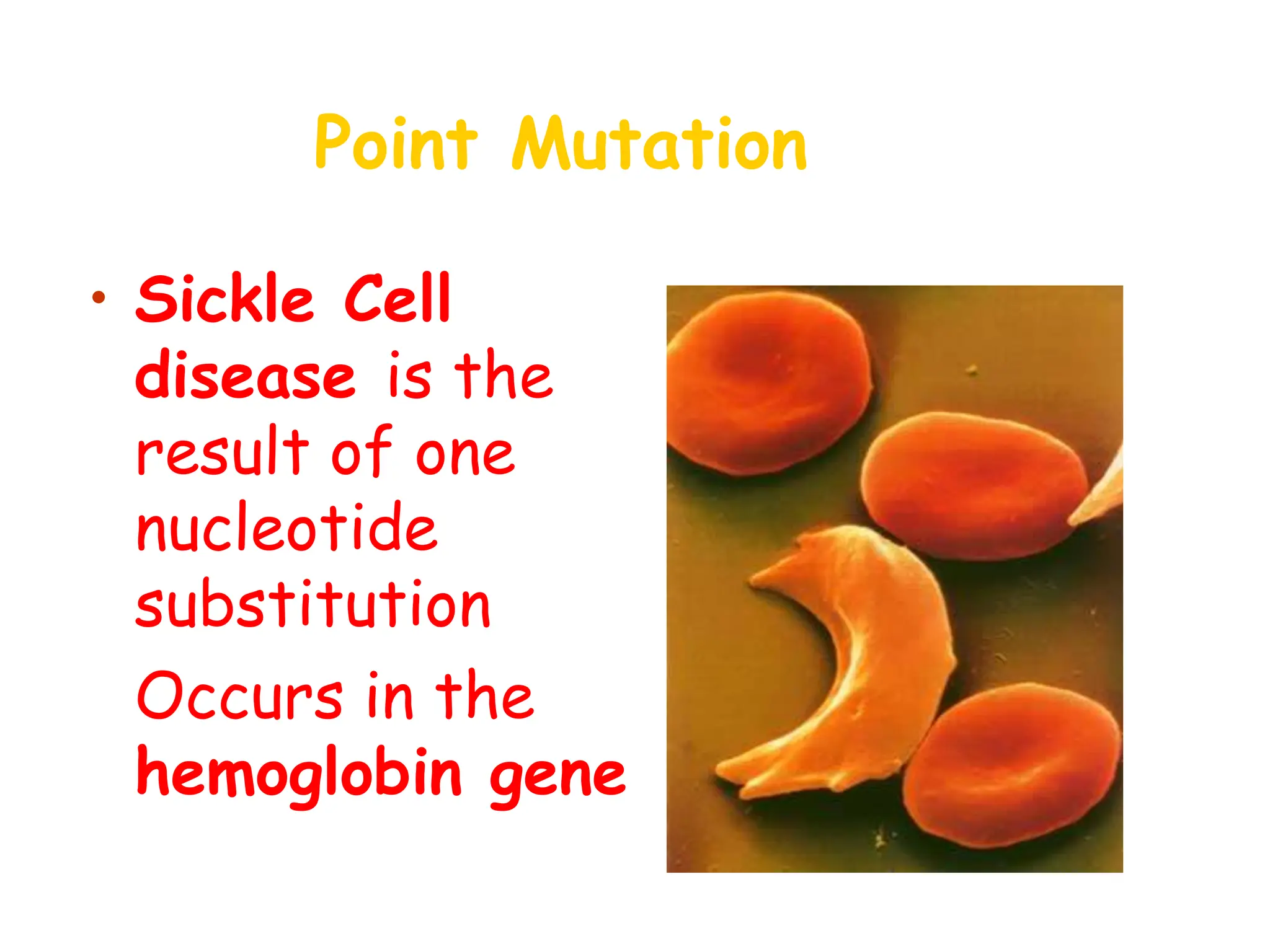Point Mutation
• Sickle Cell
disease is the
result of one
nucleotide
substitution
• Occurs in the
hemoglobin gene
 