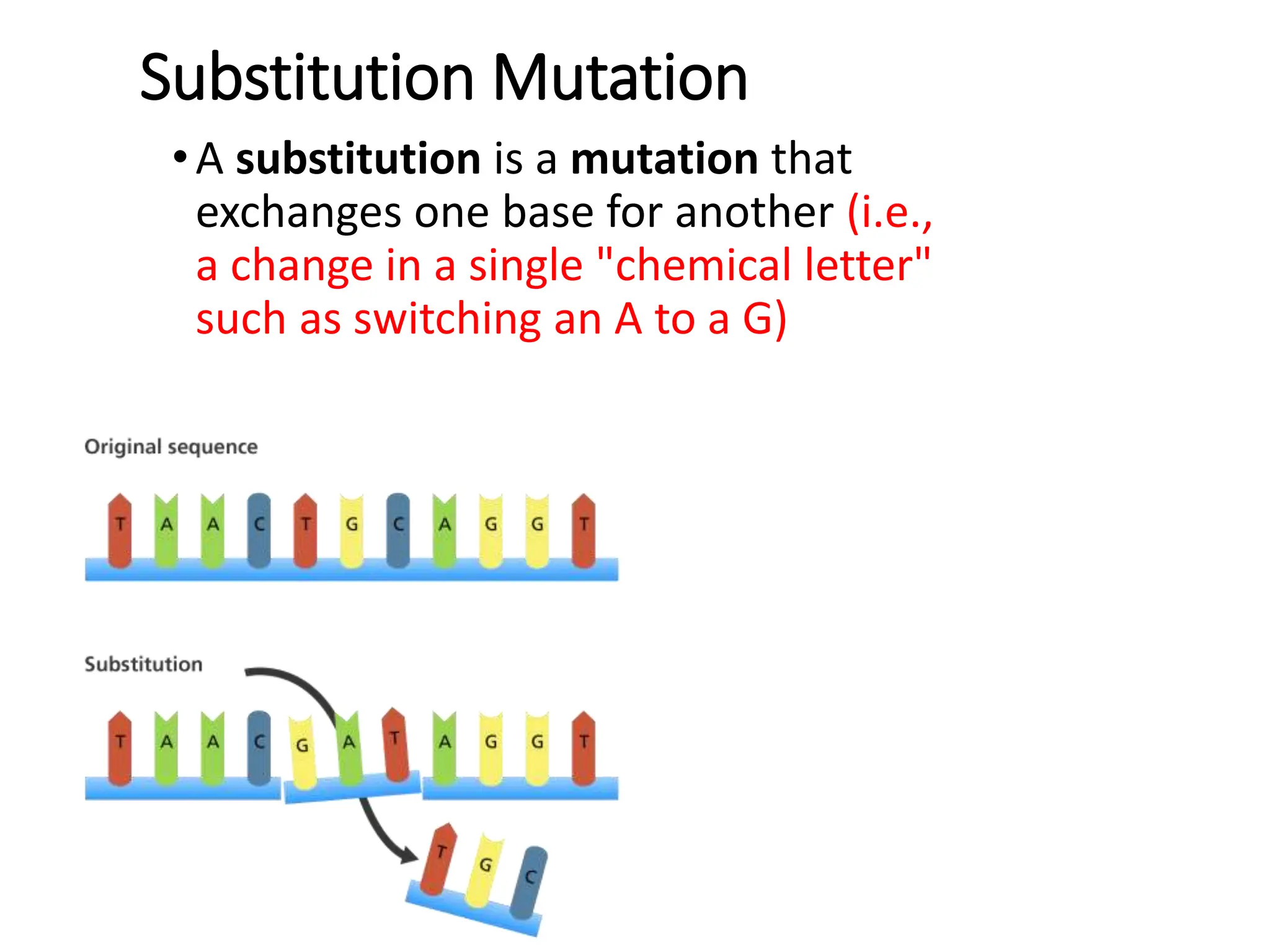 Substitution Mutation
•A substitution is a mutation that
exchanges one base for another (i.e.,
a change in a single "chemical letter"
such as switching an A to a G)
 
