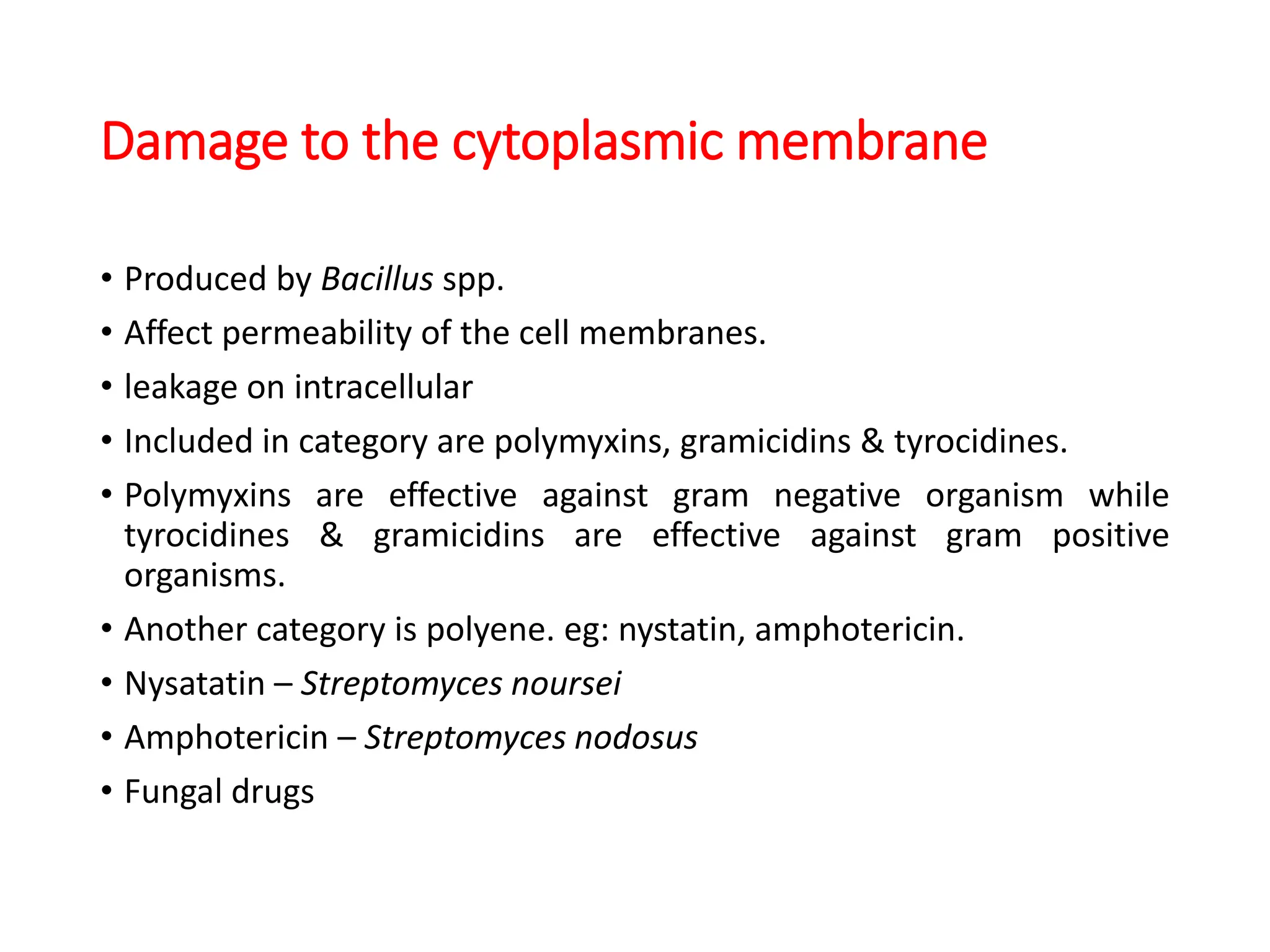 Damage to the cytoplasmic membrane
• Produced by Bacillus spp.
• Affect permeability of the cell membranes.
• leakage on intracellular
• Included in category are polymyxins, gramicidins & tyrocidines.
• Polymyxins are effective against gram negative organism while
tyrocidines & gramicidins are effective against gram positive
organisms.
• Another category is polyene. eg: nystatin, amphotericin.
• Nysatatin – Streptomyces noursei
• Amphotericin – Streptomyces nodosus
• Fungal drugs
 