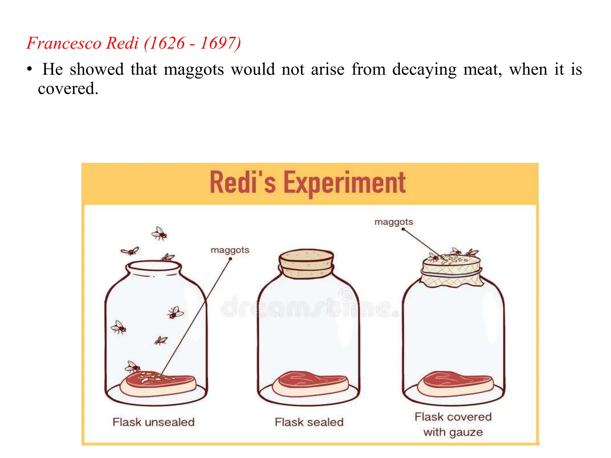 Francesco Redi (1626 - 1697)
• He showed that maggots would not arise from decaying meat, when it is
covered.
 