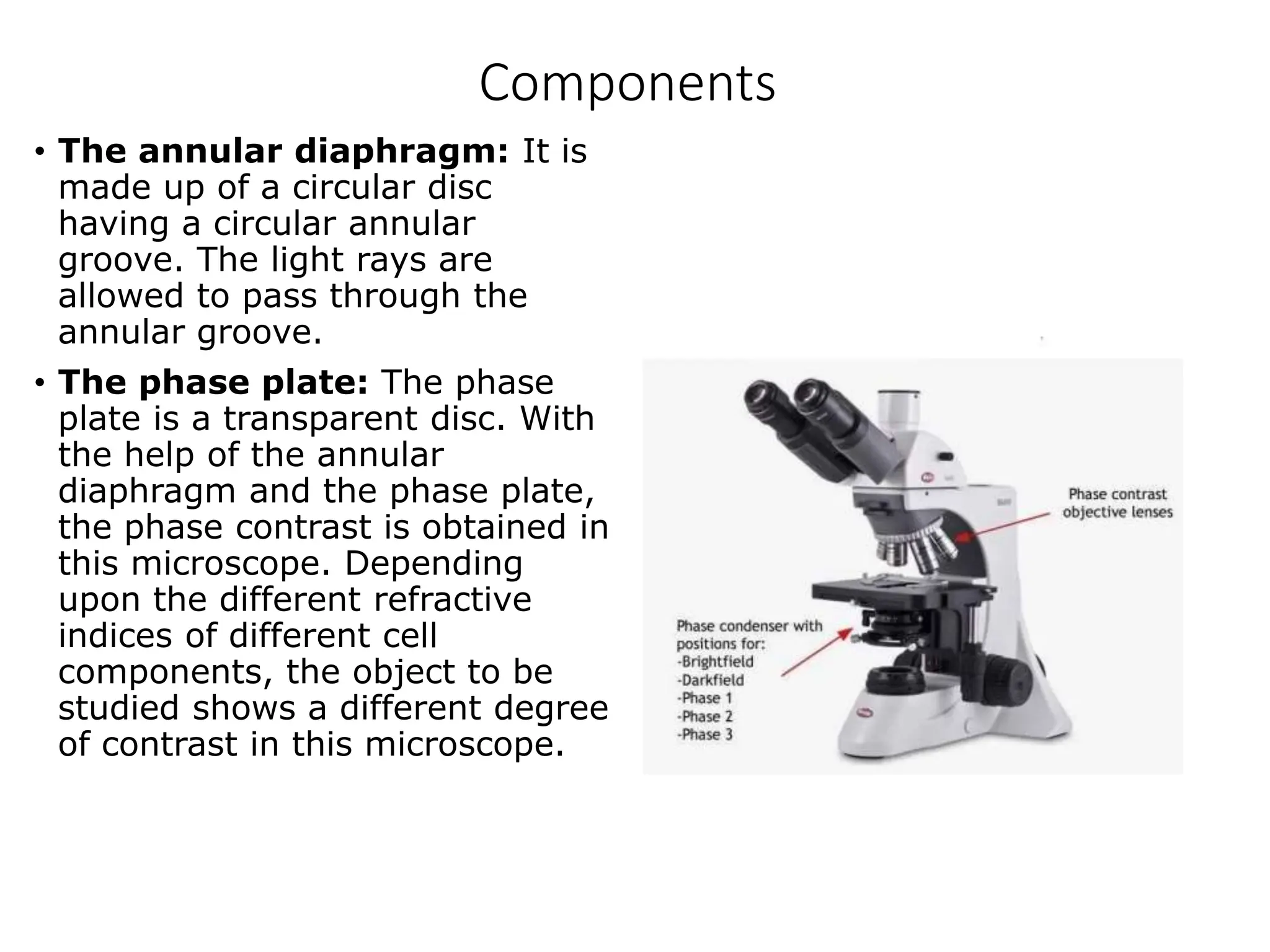 Components
• The annular diaphragm: It is
made up of a circular disc
having a circular annular
groove. The light rays are
allowed to pass through the
annular groove.
• The phase plate: The phase
plate is a transparent disc. With
the help of the annular
diaphragm and the phase plate,
the phase contrast is obtained in
this microscope. Depending
upon the different refractive
indices of different cell
components, the object to be
studied shows a different degree
of contrast in this microscope.
 