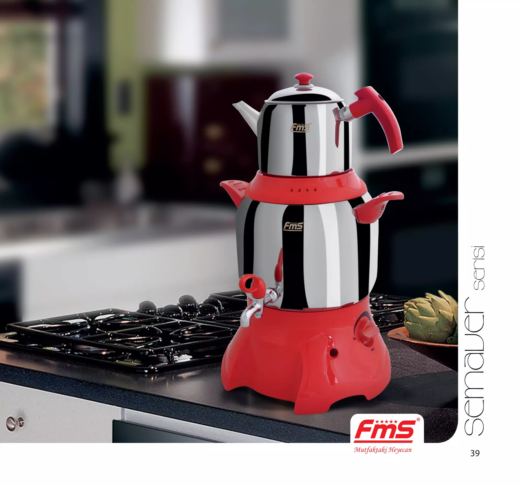 Fms katalog nisan2014 PPT