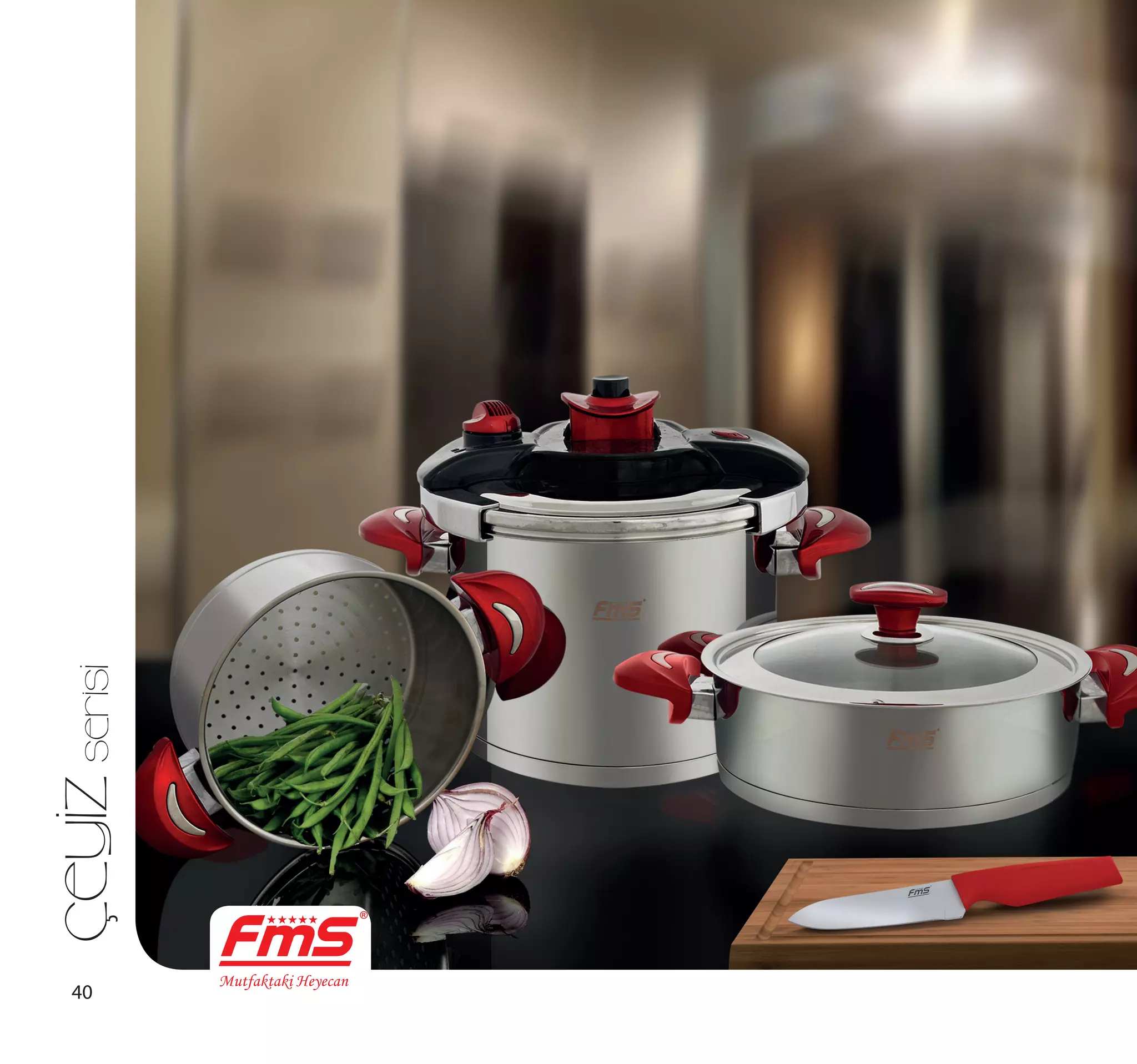 Fms katalog nisan2014 PPT